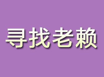 东坡寻找老赖